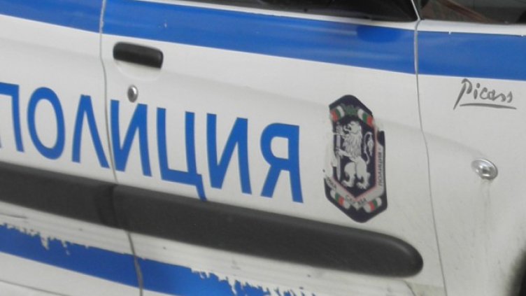 Снимка: архив, БГНЕС