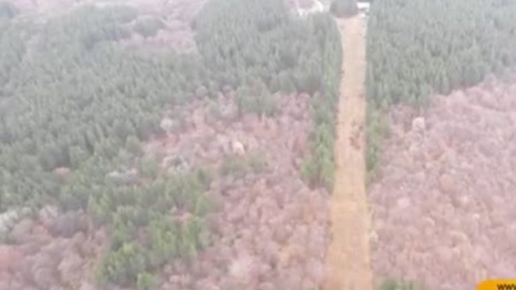 Снимка: Bulgaria ON AIR