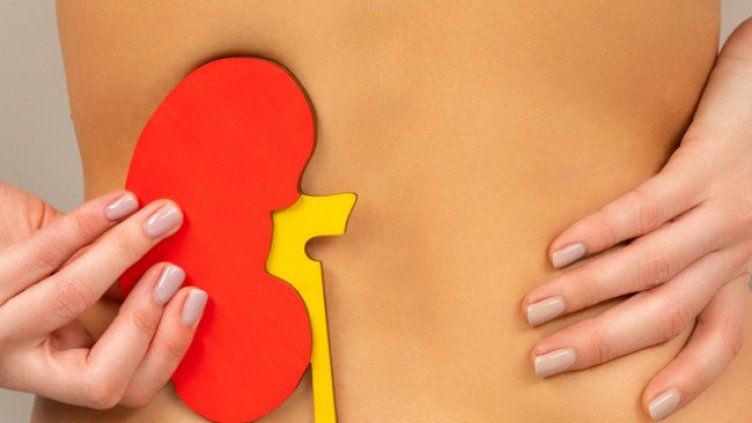 Снимка: Istock