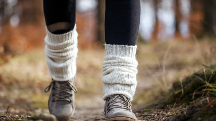 Снимка: iStock/Zbynek Pospisil