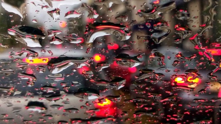 Снимка: архив, БГНЕС