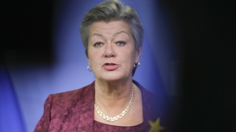 Снимка: архив, БГНЕС