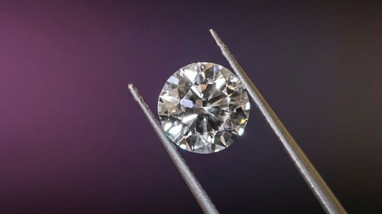 Снимка: Pixabay