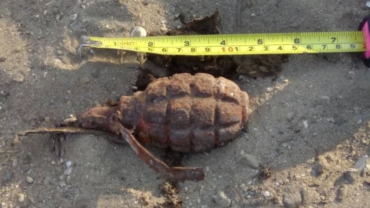 Снимка: БГНЕС, архив