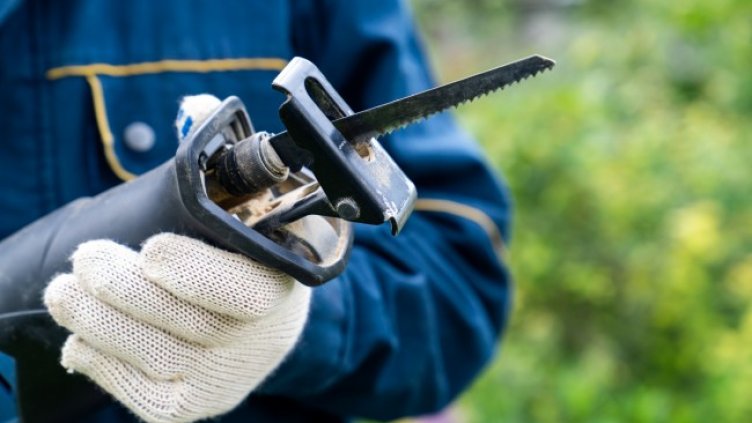 Снимка: iStockphoto