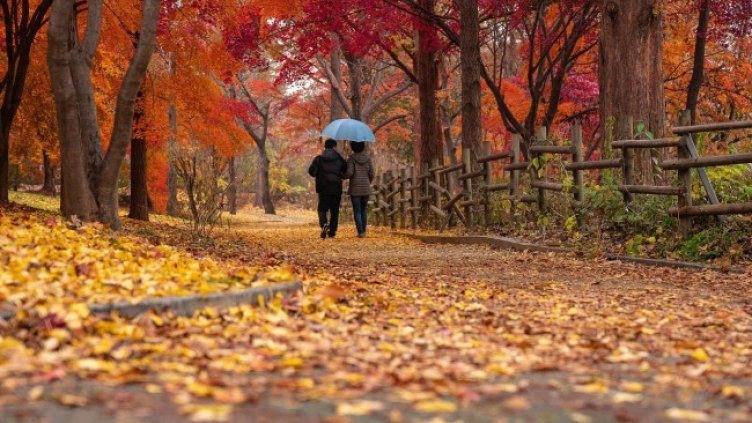 Снимка: Pixabay