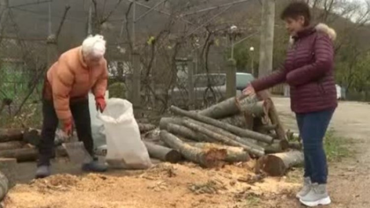 Снимка: Bulgaria ON AIR