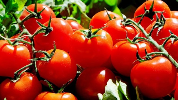 Снимка: Pixabay