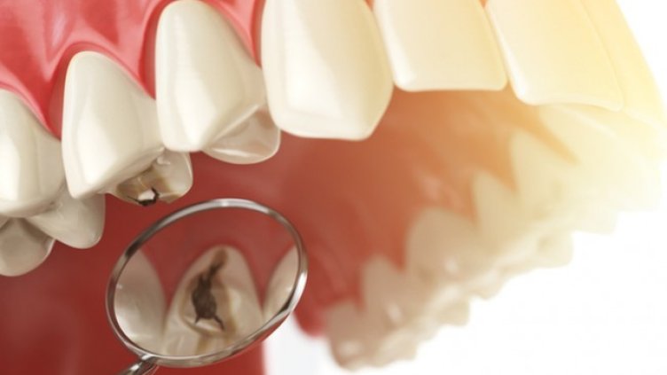 Снимка: Istock