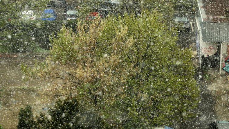 Снимка: БГНЕС