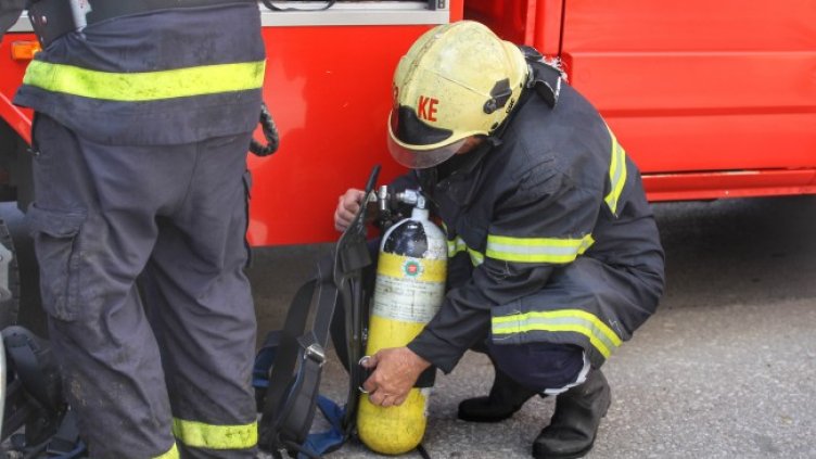 Снимка: Димитър Кьосемарлиев, Dnes.bg