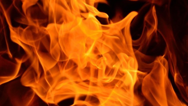 Снимка: Pixabay