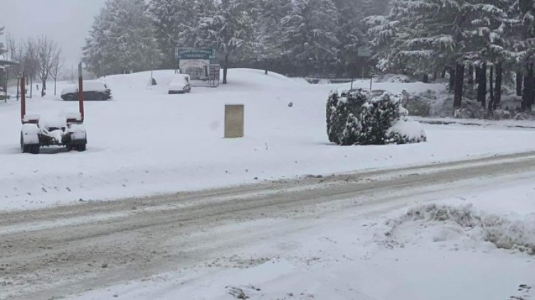 Снимка: БГНЕС