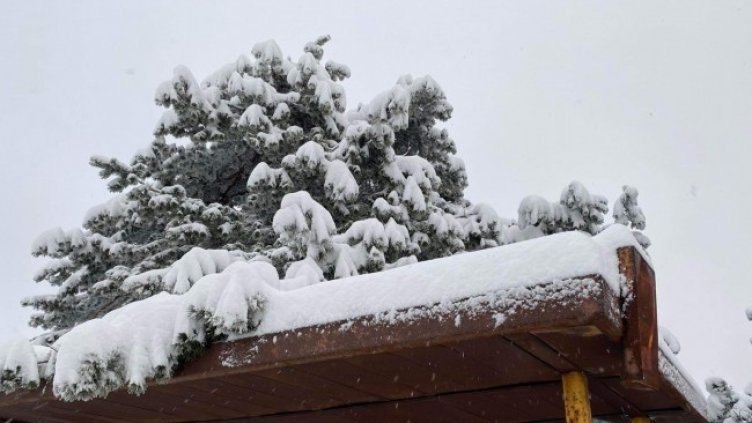 Снимка: архив, БГНЕС