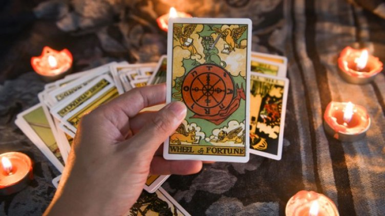 Снимка: Istock