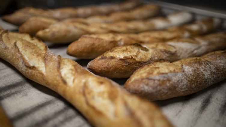 Снимка: БГНЕС/EPA