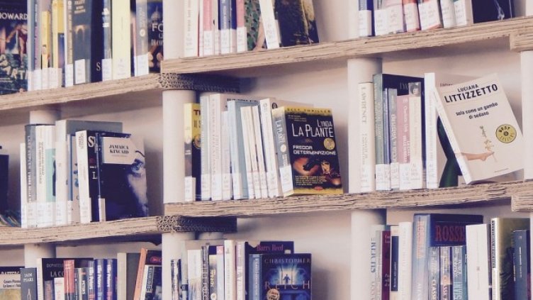 Снимка: Pixabay