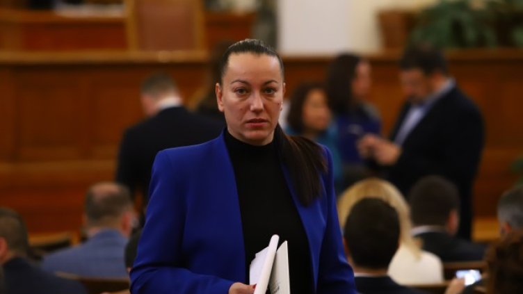 Снимка: БГНЕС