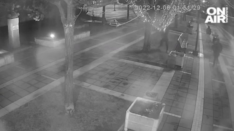 Снимка: Bulgaria ON AIR