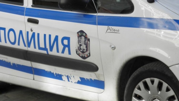 Снимка: архив, БГНЕС