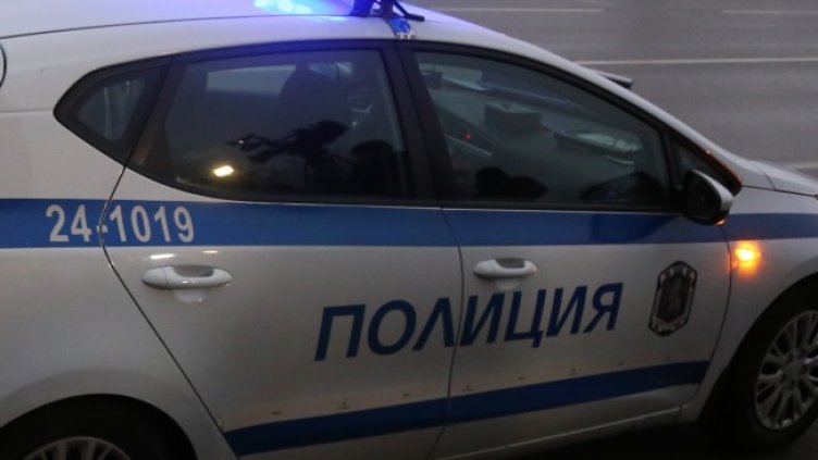 Снимка: архив, БГНЕС