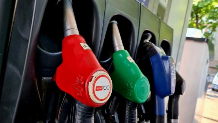 Снимка: архив, БГНЕС