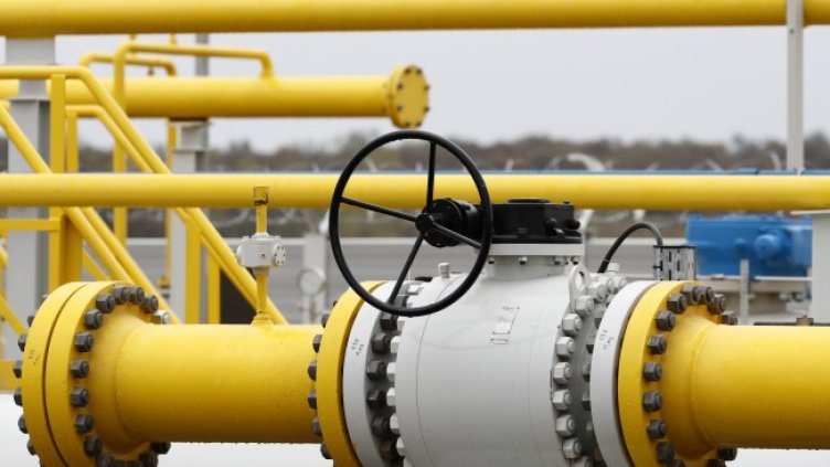 Снимка: архив, БГНЕС