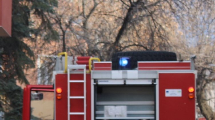 Снимка: БГНЕС, архив