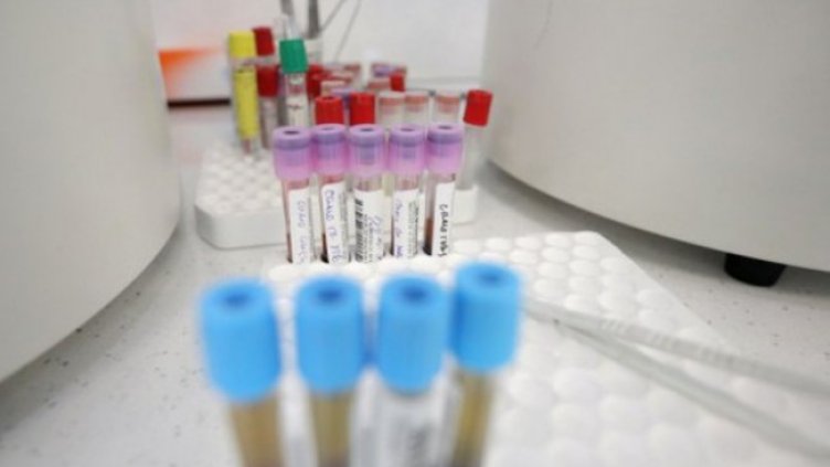 Снимка: Димитър Кьосемарлиев