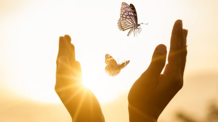 Снимка: Istock