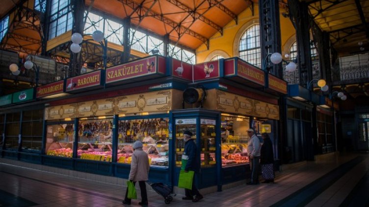 Снимка: архив, БГНЕС