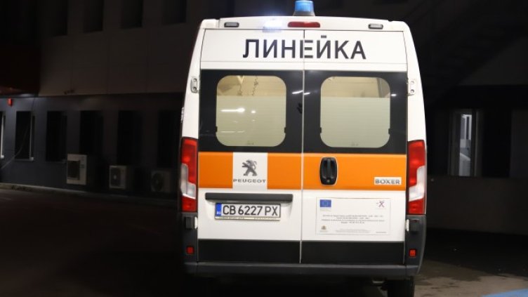 Снимка: БГНЕС