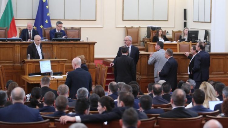 Снимка: Димитър Кьосемарлиев, Dnes.bg