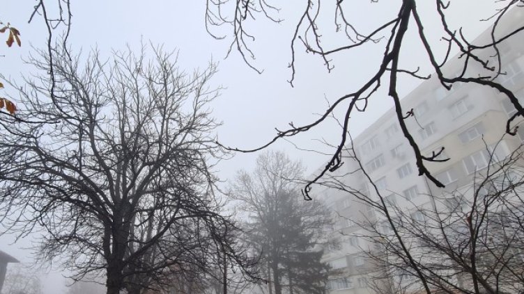 Снимка: архив, БГНЕС