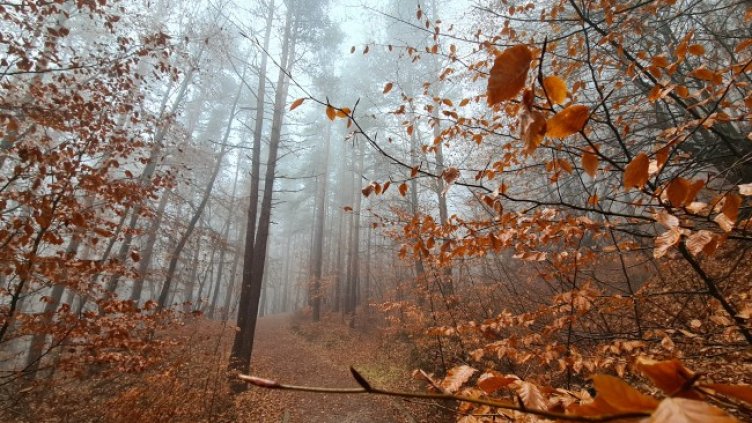 Времето утре: Остава топло за сезона, температури до 15&deg;С