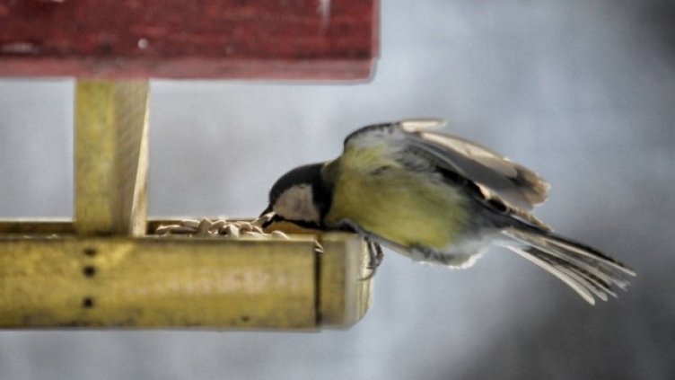 Годината в снимки: Февруари 2022