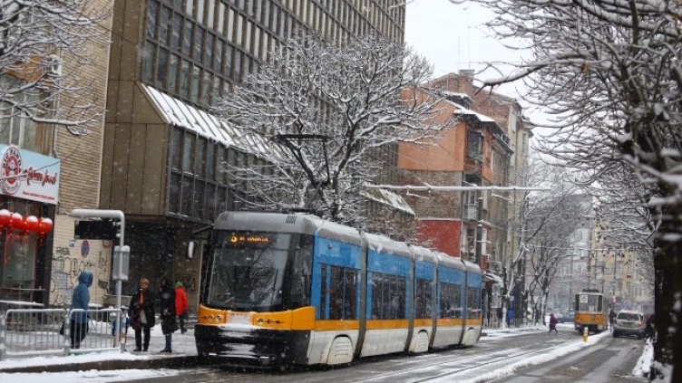 Снимка: БГНЕС