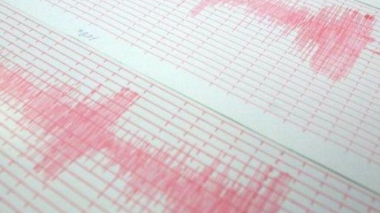 Снимка: архив, БГНЕС