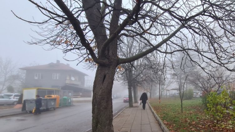 Снимка: архив, БГНЕС