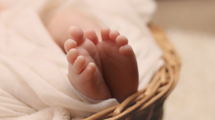 Снимка: Pixabay/esudroff