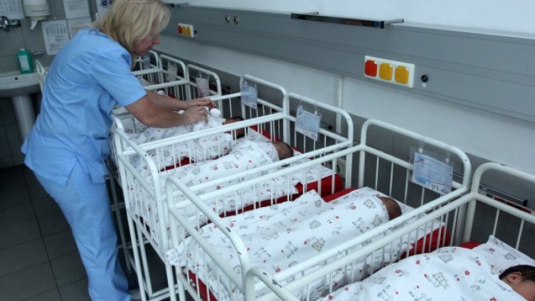 Снимка: БГНЕС