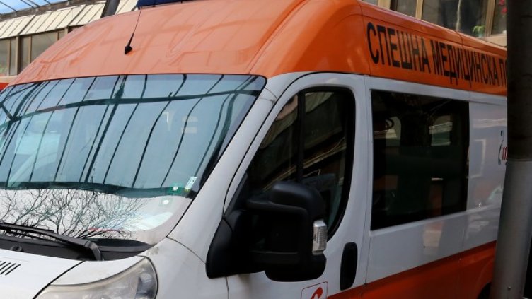 Снимка: архив, БГНЕС