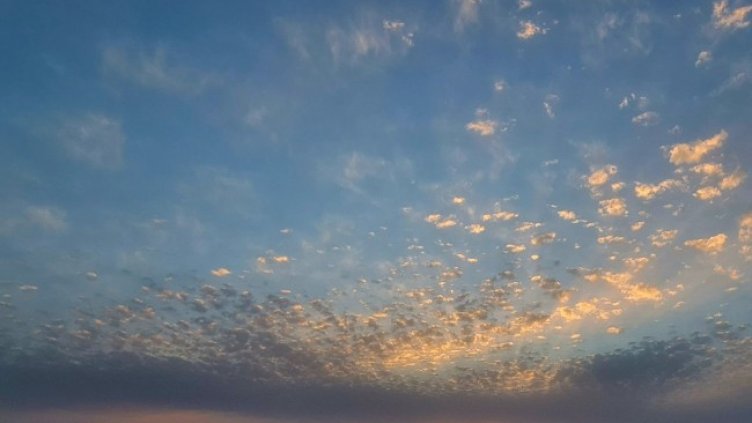 Снимка: архив, БГНЕС