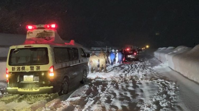 Снимка: архив, БГНЕС