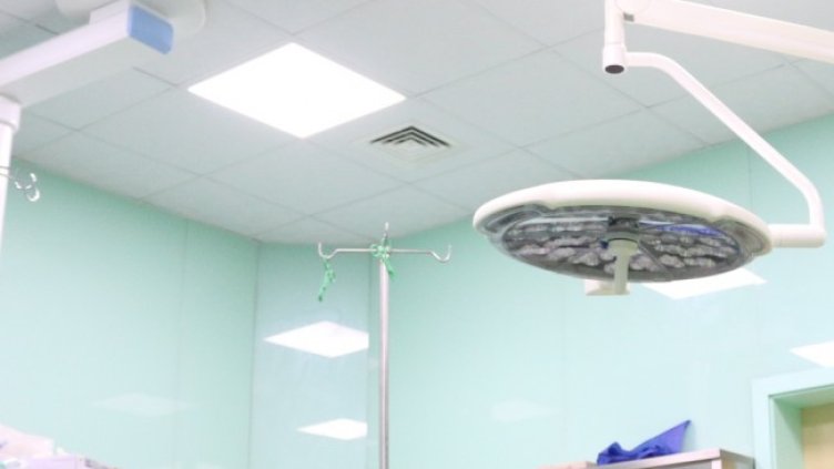 Снимка: архив, БГНЕС