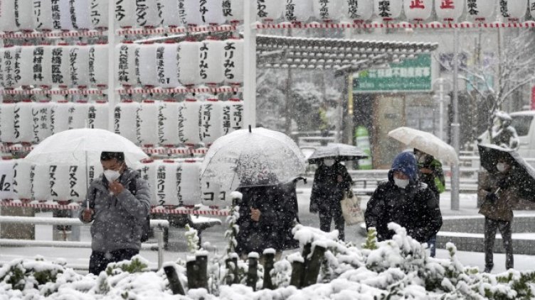 Снимка: архив, БГНЕС