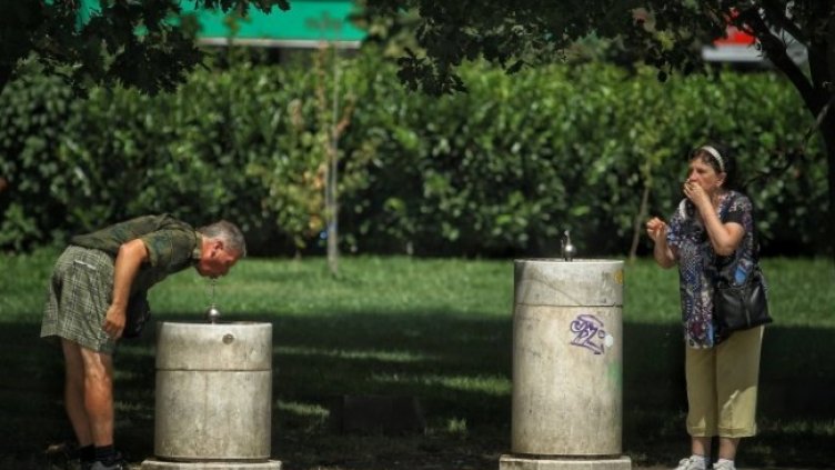 Снимка: Димитър Кьосемарлиев, Dnes.bg