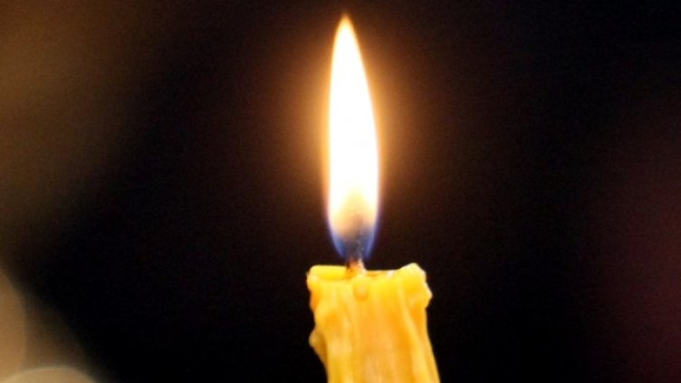 Снимка: архив, БГНЕС