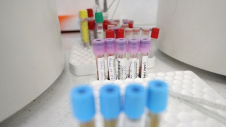 Снимка: Димитър Кьосемарлиев