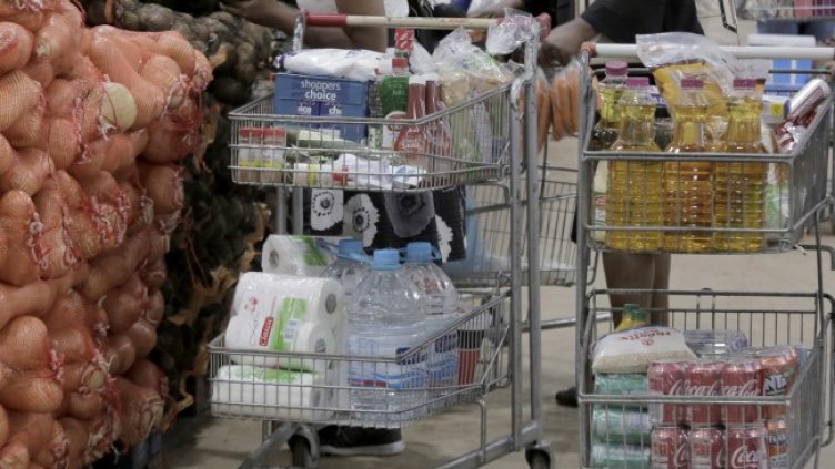 Снимка: архив, БГНЕС